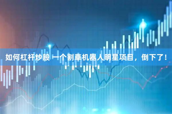 如何杠杆炒股 一个割草机器人明星项目，倒下了！