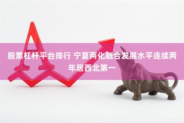股票杠杆平台排行 宁夏两化融合发展水平连续两年居西北第一