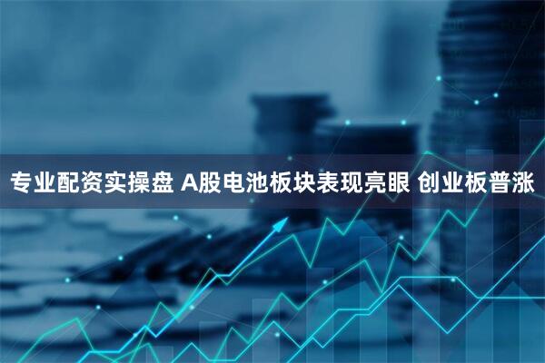 专业配资实操盘 A股电池板块表现亮眼 创业板普涨
